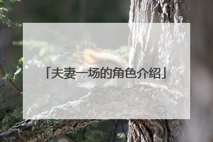 夫妻一场的角色介绍