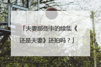 夫妻那些事的续集《还是夫妻》还拍吗？