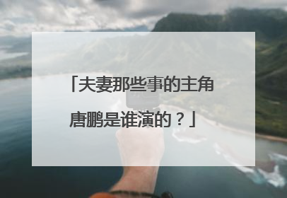 夫妻那些事的主角唐鹏是谁演的？