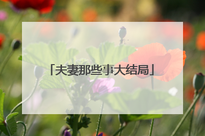 夫妻那些事大结局