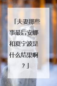 夫妻那些事最后安娜和夏宁波是什么结果啊？