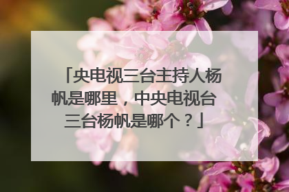 央电视三台主持人杨帆是哪里,中央电视台三台杨帆是哪个?