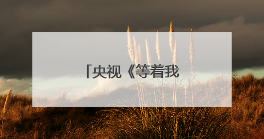 央视《等着我》停播了吗？