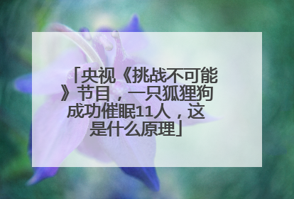 央视《挑战不可能》节目，一只狐狸狗成功催眠11人，这是什么原理