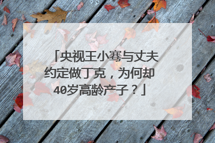 央视王小骞与丈夫约定做丁克，为何却40岁高龄产子？