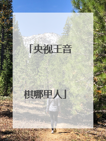 央视王音棋哪里人