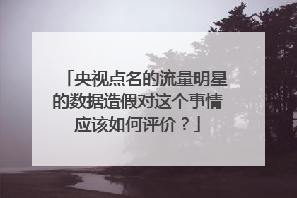 央视点名的流量明星的数据造假对这个事情应该如何评价？