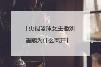 央视篮球女主播刘语熙为什么离开