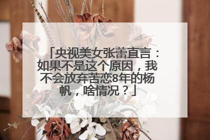 央视美女张蕾直言：如果不是这个原因，我不会放弃苦恋8年的杨帆，啥情况？