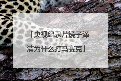 央视纪录片镜子泽清为什么打马赛克