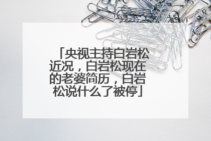 央视主持白岩松近况，白岩松现在的老婆简历，白岩松说什么了被停