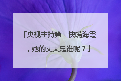 央视主持第一快嘴海霞，她的丈夫是谁呢？