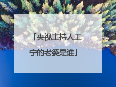 央视主持人王宁的老婆是谁