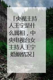 央视主持人王宁是什么属相，中央电视台女主持人王宁婚姻情况