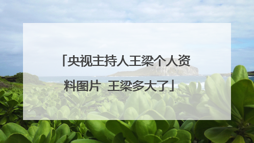 央视主持人王梁个人资料图片 王梁多大了