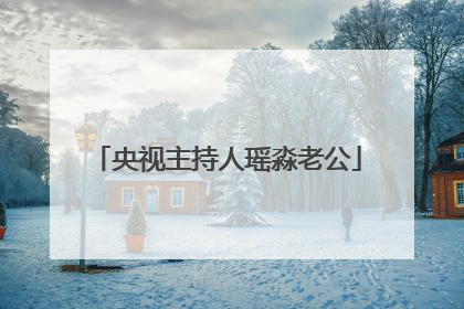 央视主持人瑶淼老公