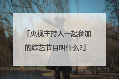 央视主持人一起参加的综艺节目叫什么?