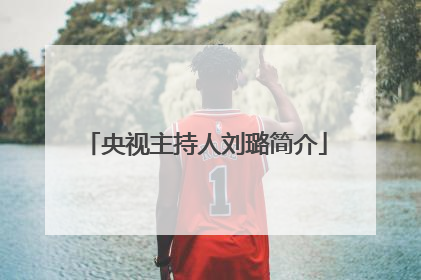 央视主持人刘璐简介