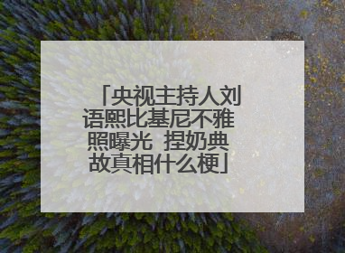 央视主持人刘语熙比基尼不雅照曝光 捏奶典故真相什么梗