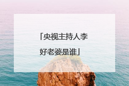 央视主持人李好老婆是谁