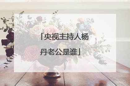 央视主持人杨丹老公是谁