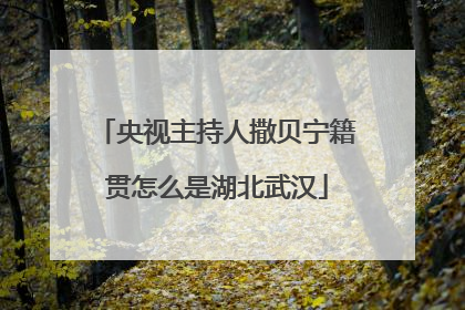 央视主持人撒贝宁籍贯怎么是湖北武汉