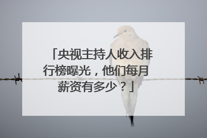 央视主持人收入排行榜曝光，他们每月薪资有多少？