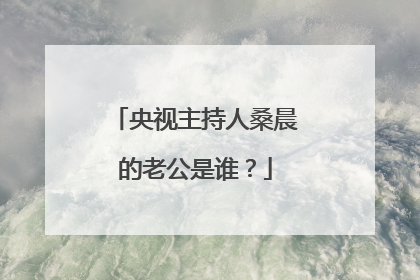 央视主持人桑晨的老公是谁？