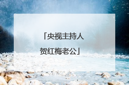 央视主持人贺红梅老公