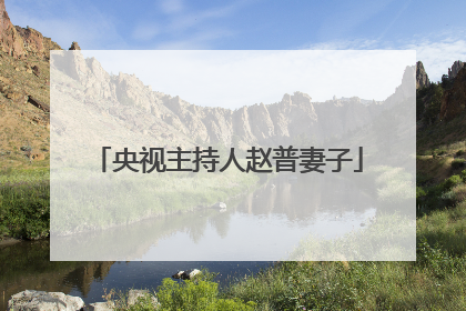 央视主持人赵普妻子