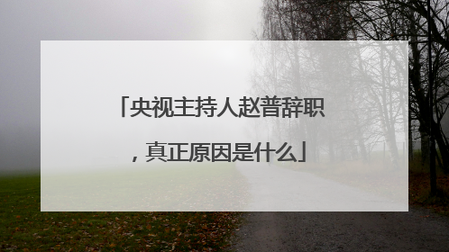 央视主持人赵普辞职,真正原因是什么