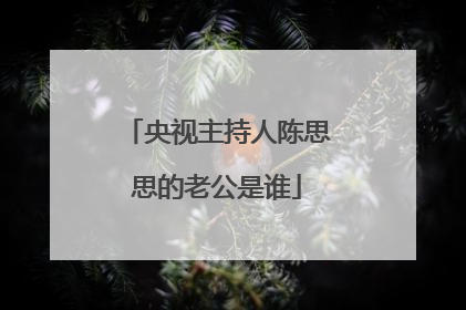 央视主持人陈思思的老公是谁