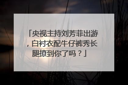 央视主持刘芳菲出游，白衬衣配牛仔裤秀长腿撩到你了吗？