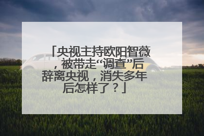 央视主持欧阳智薇，被带走“调查”后辞离央视，消失多年后怎样了？