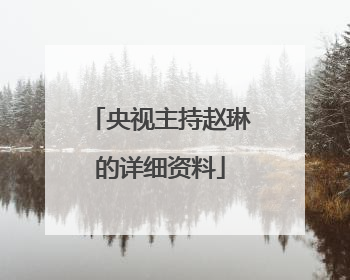 央视主持赵琳的详细资料