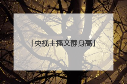 央视主播文静身高