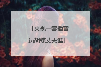 央视一套播音员胡蝶丈夫谁