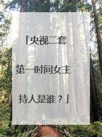 央视二套 第一时间女主持人是谁？