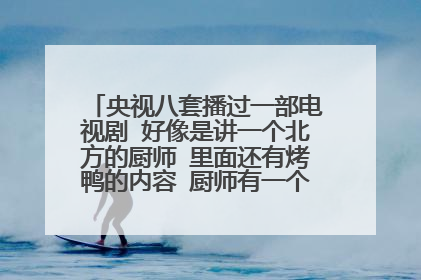 央视八套播过一部电视剧 好像是讲一个北方的厨师 里面还有烤鸭的内容 厨师有一个外国老婆和外国继子
