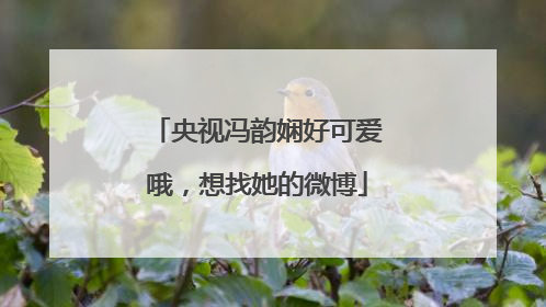 央视冯韵娴好可爱哦,想找她的微博