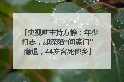 央视前主持方静:年少得志,却深陷“间谍门”隐退,44岁客死他乡