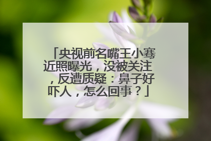 央视前名嘴王小骞近照曝光,没被关注,反遭质疑:鼻子好吓人,怎么回事?