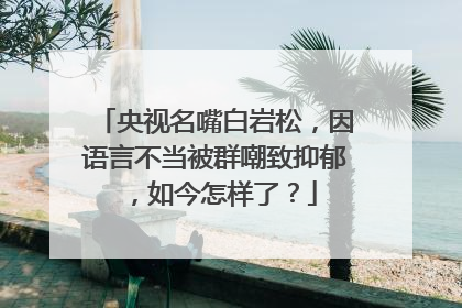 央视名嘴白岩松,因语言不当被群嘲致抑郁,如今怎样了?