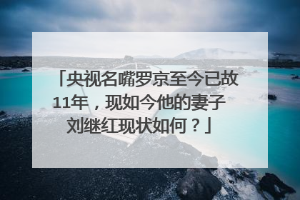 央视名嘴罗京至今已故11年，现如今他的妻子刘继红现状如何？