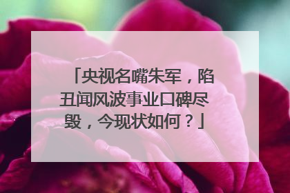 央视名嘴朱军，陷丑闻风波事业口碑尽毁，今现状如何？