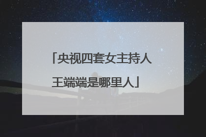 央视四套女主持人王端端是哪里人