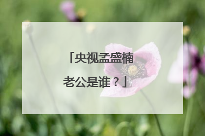 央视孟盛楠老公是谁?