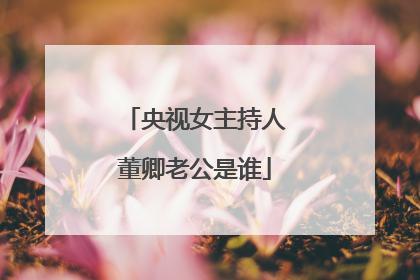 央视女主持人董卿老公是谁