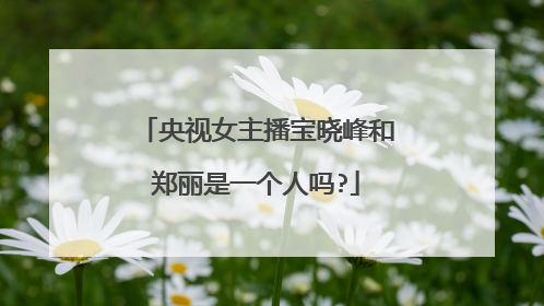 央视女主播宝晓峰和郑丽是一个人吗?