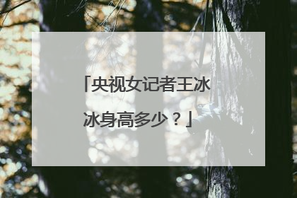 央视女记者王冰冰身高多少?
